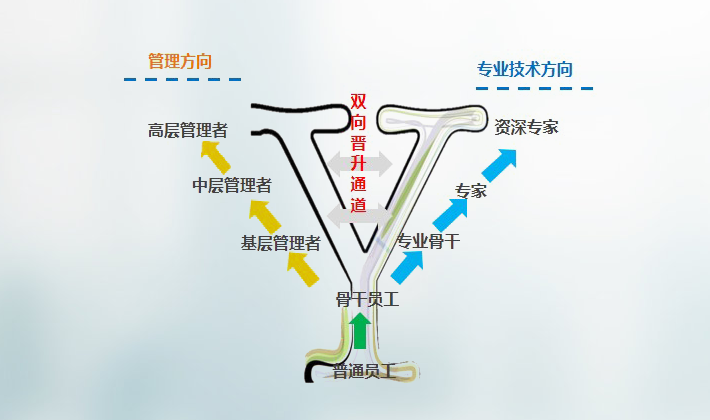 首页-BB贝博艾弗森公司官网