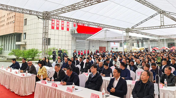 首页-BB贝博艾弗森公司官网